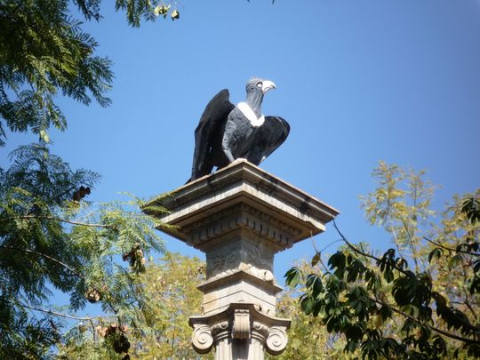 Statue of condor on Plaza 14 de Septiembre