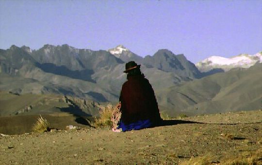 Cholita contemplando la Cordillera Real