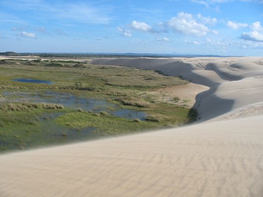 Petite lagune au milieu des dunes