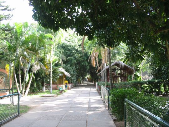 Alley in the zoo