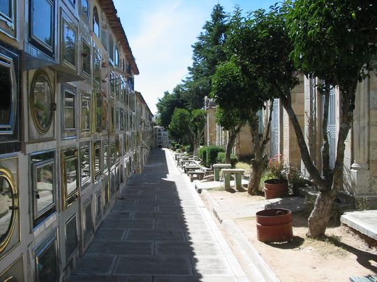 Alley in the cemetery