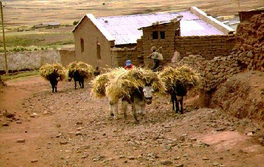 Village de l'Altiplano Village de l'Altiplano