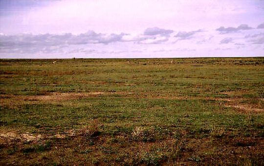 View of the Altiplano