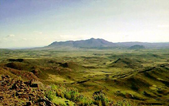 Paysage de l'Altiplano Paysage de l'Altiplano