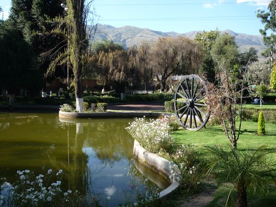 Small lake in the garden