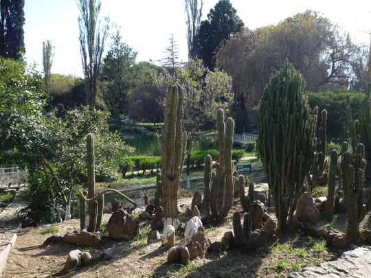 Parque de cactus