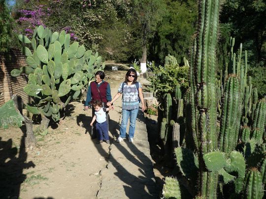 Nataly, Mary y Fabien entre los cactus