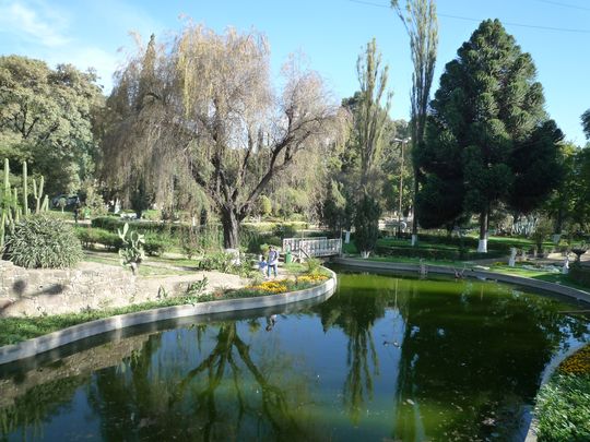 Small lake in the botanical garden