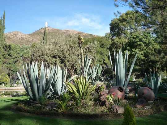 Statue of Cristo de la Concordia seen from the botanical garden