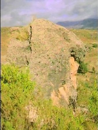 Roca en forma de cabeza de cndor