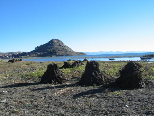 Paquetes de habas cerca del calvario de Copacabana