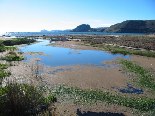 Costa pantanosa en el norte de la pennsula de Copacabana