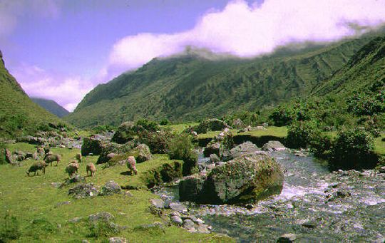 Zongo river