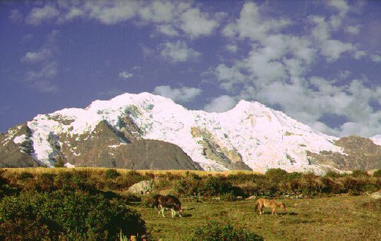 Illimani Illimani