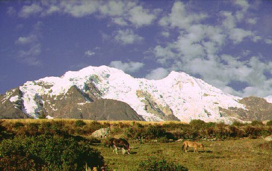 Illimani