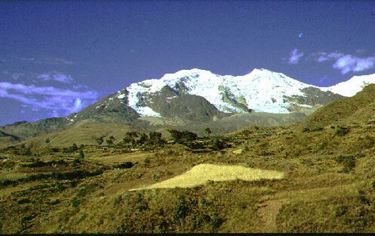 Illimani