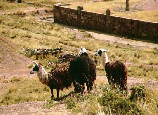 Guardianes del Templo Kalasasaya