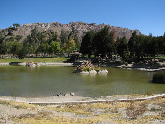 Pequea laguna en el zoolgico