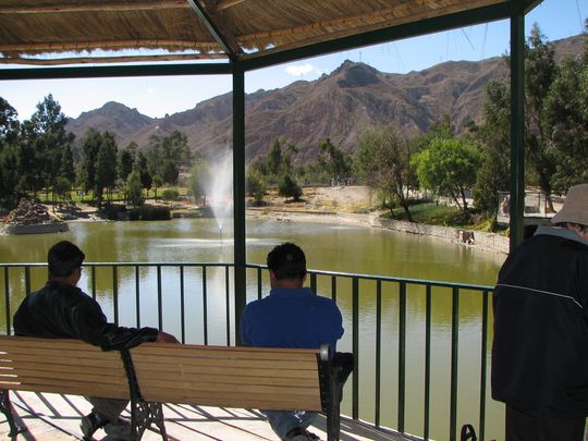 Pequea laguna en el zoolgico