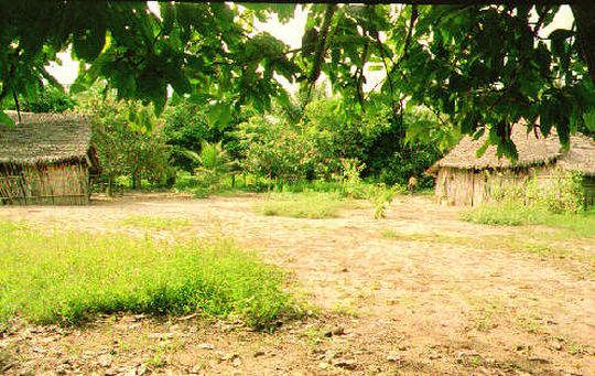 Pueblo en la selva