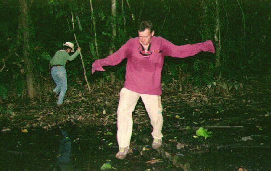 Chapoteando en los pantanos