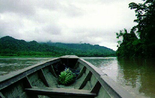 Expedicin sobre el ro Tuichi