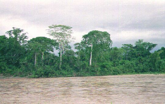 Expedition on the Tuichi river