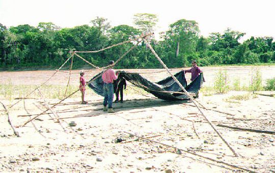 Establecimiento del campamento al lado del ro Tuichi