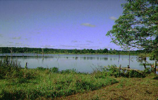Lago de San Ignacio Lago de San Ignacio