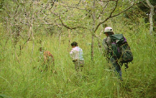 Expdition dans la jungle du Cerro Pelado