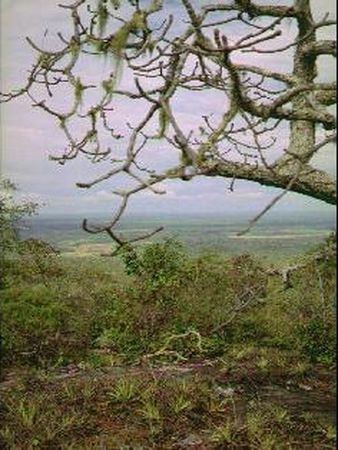 At the summit of Cerro Pelado