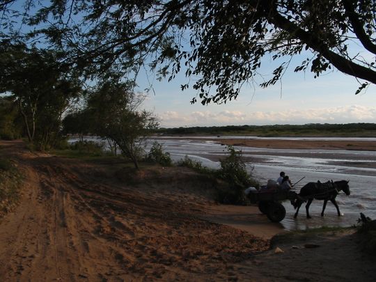 Charrette on the banks of the Piray river