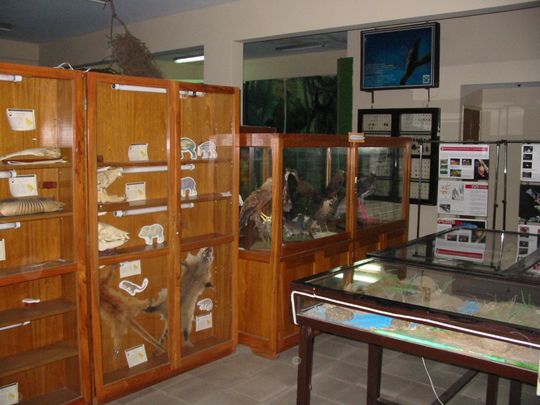 Sala principal del Museo de Historia Natural