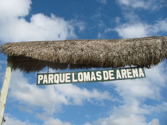 Entrada al parque