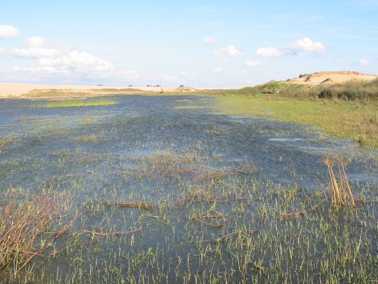 Laguna Laguna