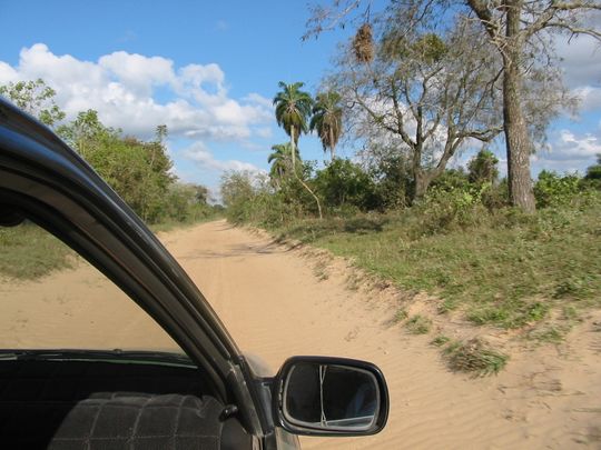 Sandy track in El Palmar National Park