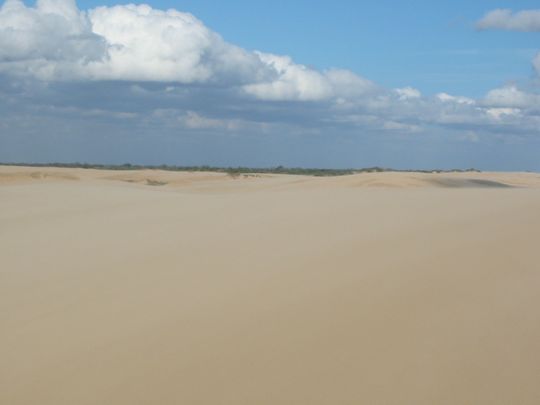 Dunas de arena