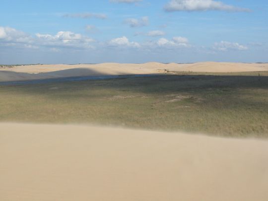 Dunas de arena azotadas por el viento Dunas de arena azotadas por el viento