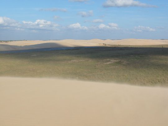 Sand dunes swept by the wind