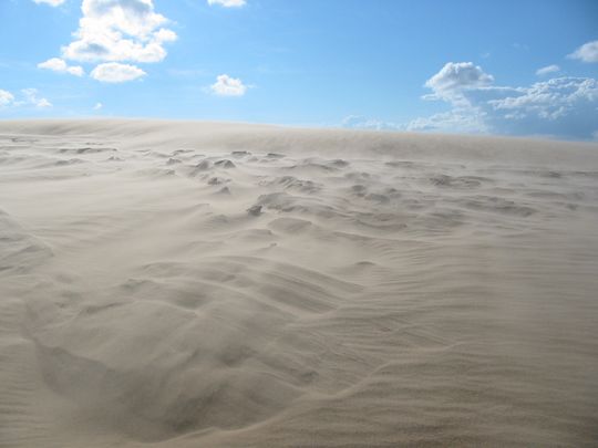 Sand dunes swept by the wind