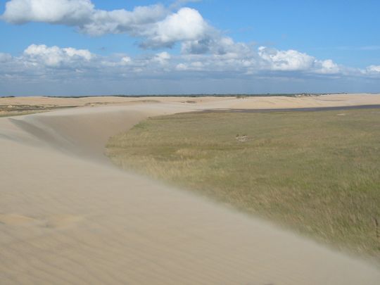 Dunes de sable balayes par le vent