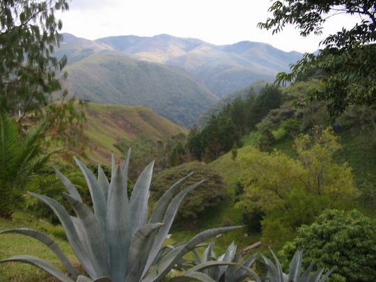 Vista sobre el Parque Nacional Amboro Vista sobre el Parque Nacional Amboro