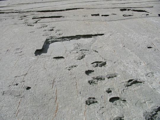 Dinosaur footprints