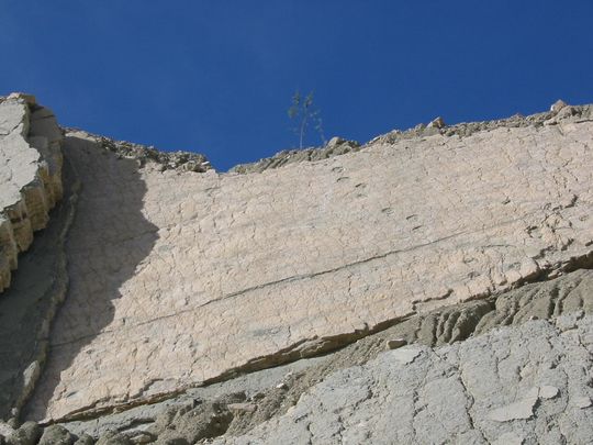 Huellas de dinosaurios Huellas de dinosaurios
