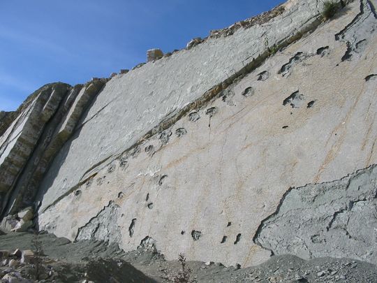 Dinosaur footprints