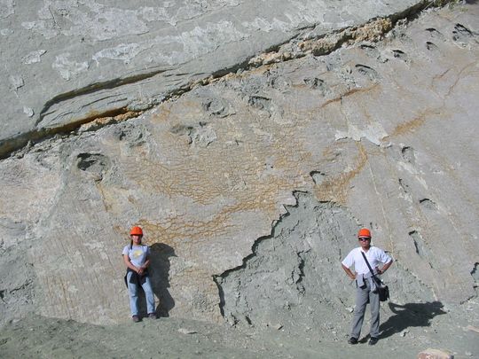 Dinosaur footprints