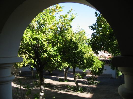 Claustro con árboles frutales Claustro con árboles frutales