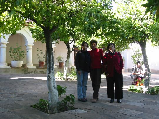 Claustro con árboles frutales Claustro con árboles frutales