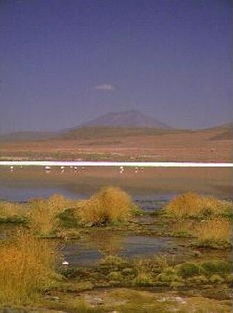 Laguna Caapa