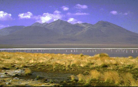 Laguna Caapa